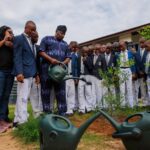UBA Foundation tree planting initiative