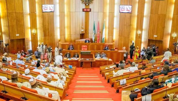 Nigerian Senate Akpabio no vacancy motion voice vote